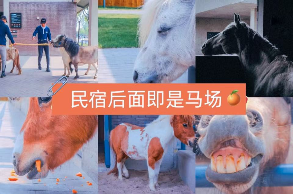 1766503914756232.jpg WechatIMG7817.jpg